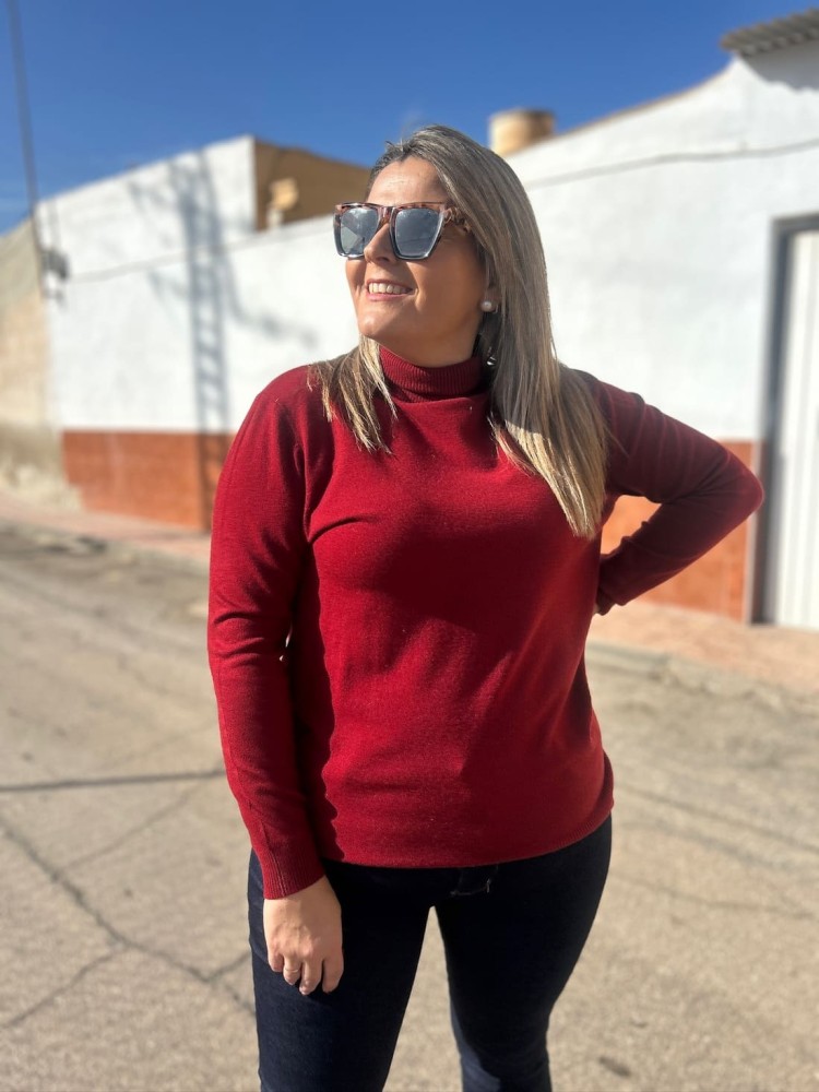 Jersey Basico Cuello Alto