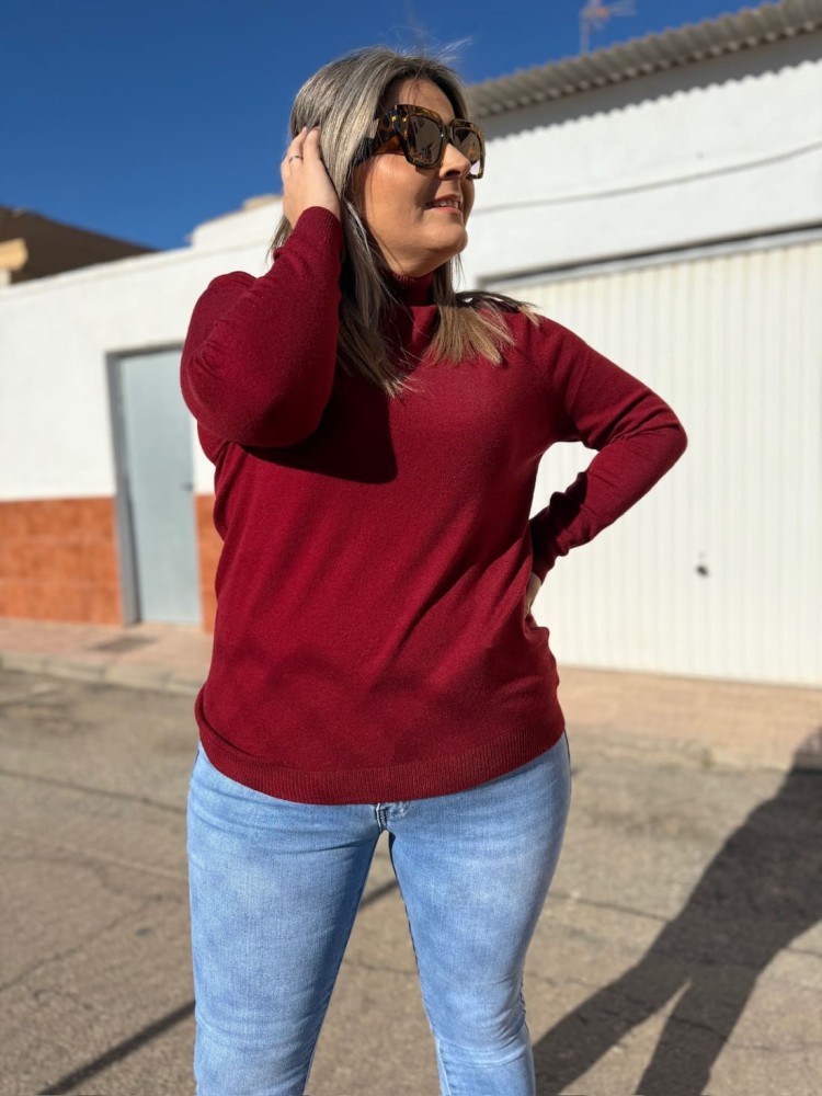 Jersey Basico Cuello Alto