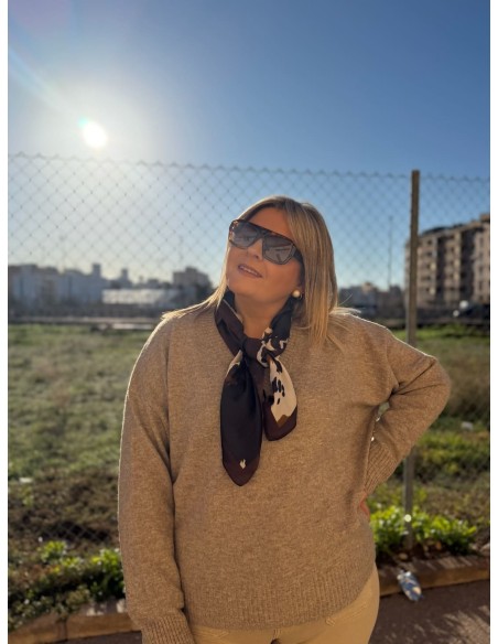 Jersey Phi Cuello Pico